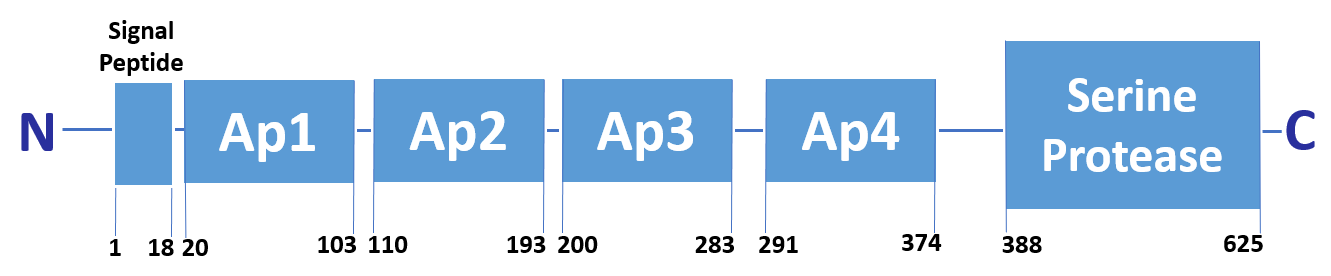 FXI Domains